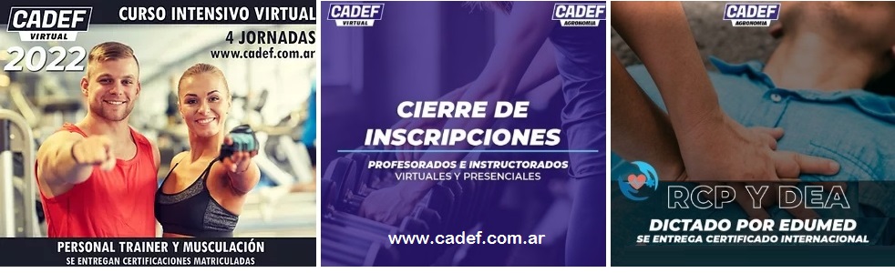 cursos educacion fisica